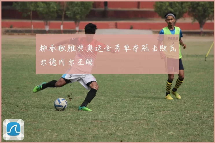 柳承敏雅典奥运会男单夺冠击败瓦尔德内尔王皓