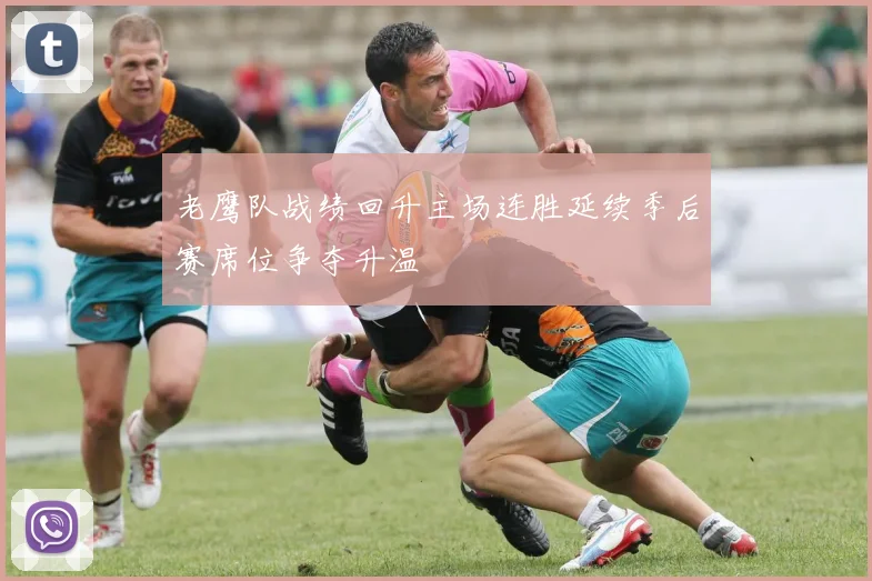 老鹰队战绩回升主场连胜延续季后赛席位争夺升温