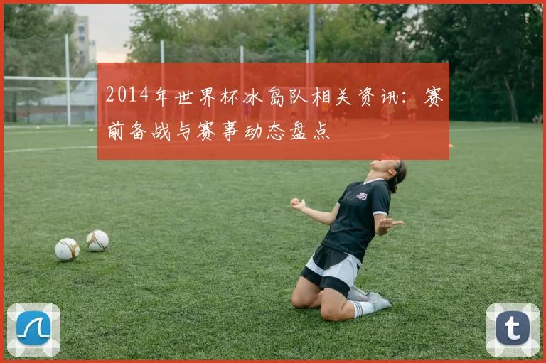 2014年世界杯冰岛队相关资讯:赛前备战与赛事动态盘点