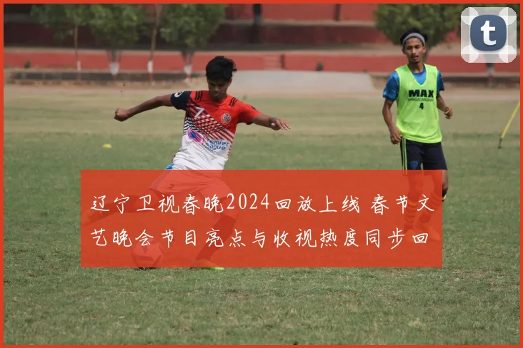 辽宁卫视春晚2024回放上线 春节文艺晚会节目亮点与收视热度同步回顾