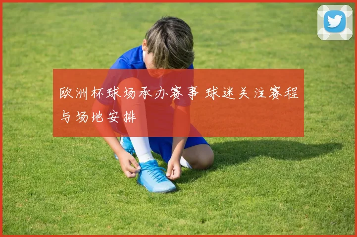 欧洲杯球场承办赛事 球迷关注赛程与场地安排