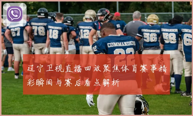辽宁卫视直播回放聚焦体育赛事精彩瞬间与赛后看点解析