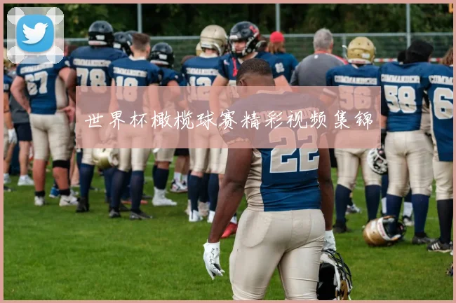 世界杯橄榄球赛精彩视频集锦