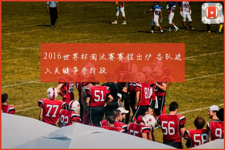 2016世界杯淘汰赛赛程出炉 各队进入关键争夺阶段