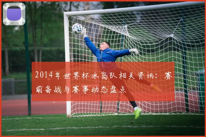 2014年世界杯冰岛队相关资讯:赛前备战与赛事动态盘点