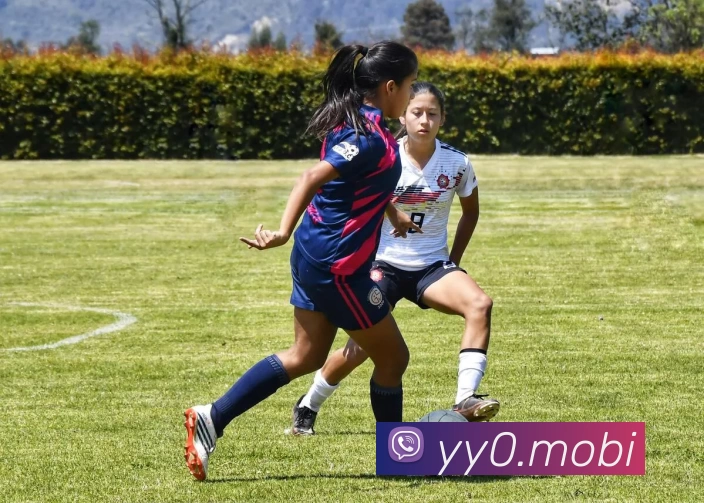 人人体育直播 - 足球直播,低调看NBA直播,西甲直播,欧洲杯直播 - 人人直播服务体系